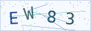 验证码