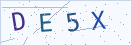 验证码