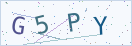 验证码
