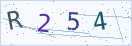 验证码
