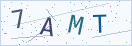 验证码