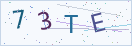 验证码