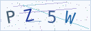 验证码