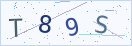 验证码