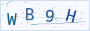 验证码