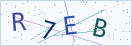 验证码