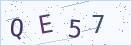 验证码