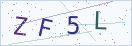 验证码
