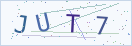 验证码